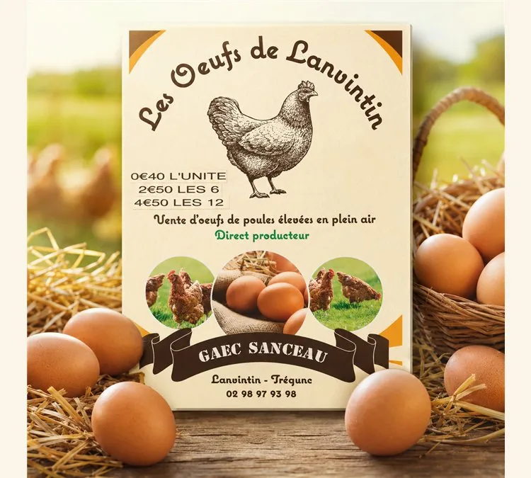 Œufs de poules élevées en plein air du GAEC Sanceau, à Trégunc